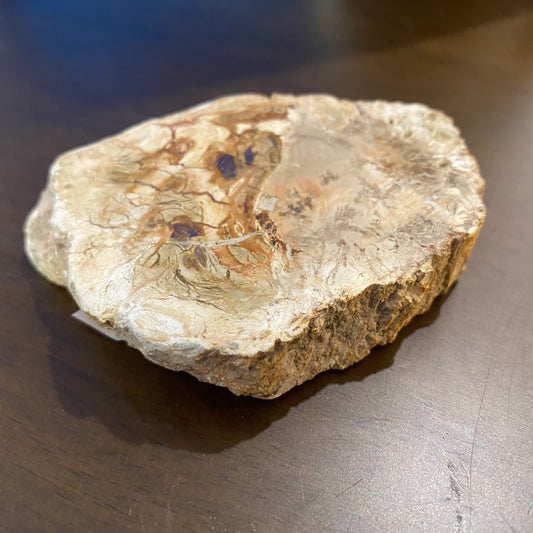 Petrified Wood Slice 88grams